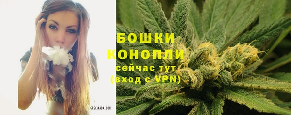 бошки Дмитровск